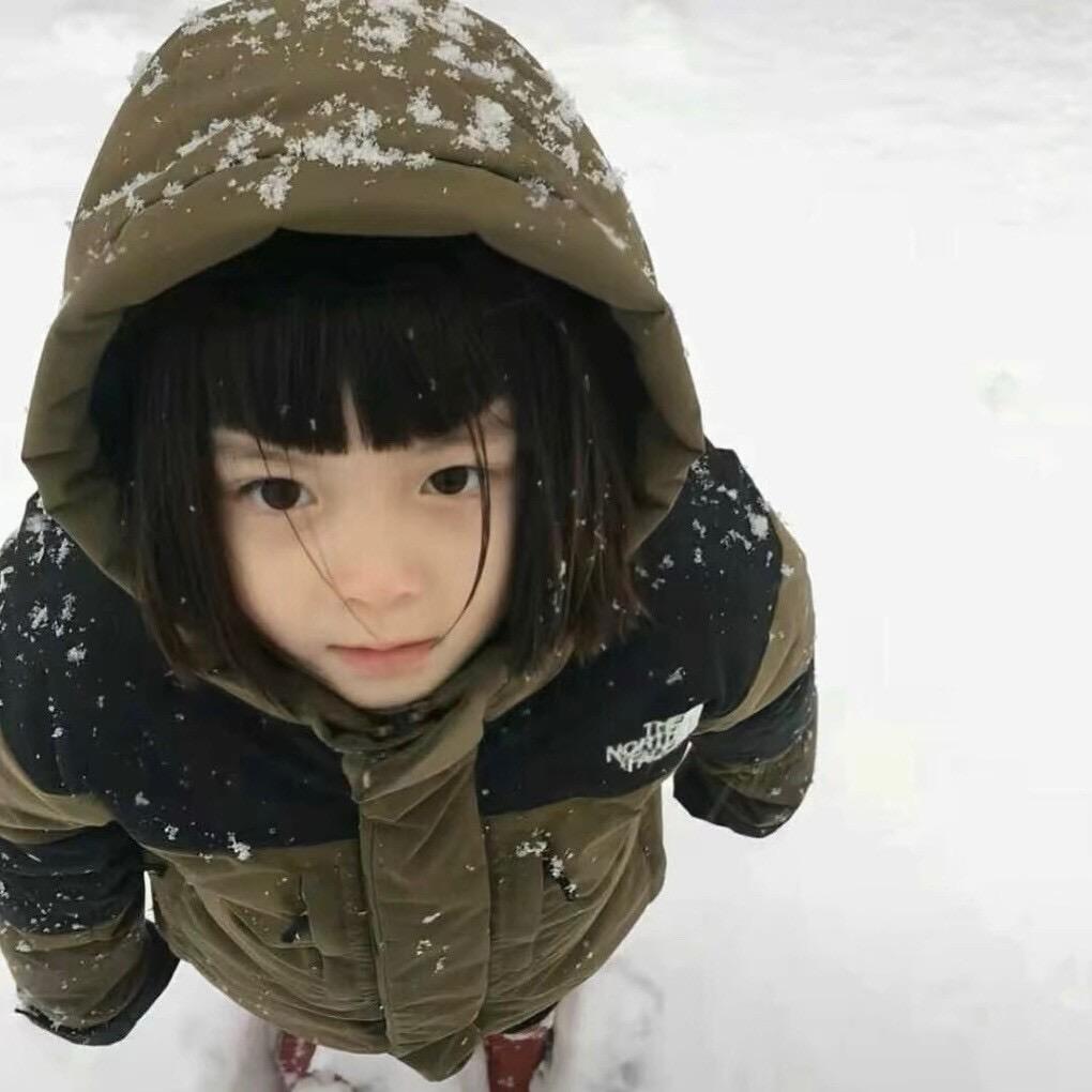 认真的总是天真