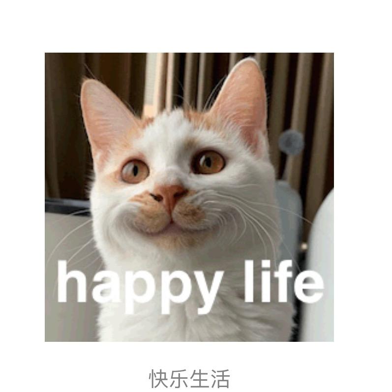 小喜鹊