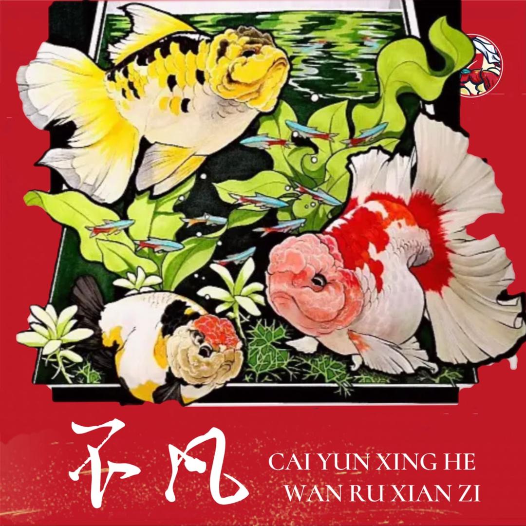小丁姐金鱼养殖基地