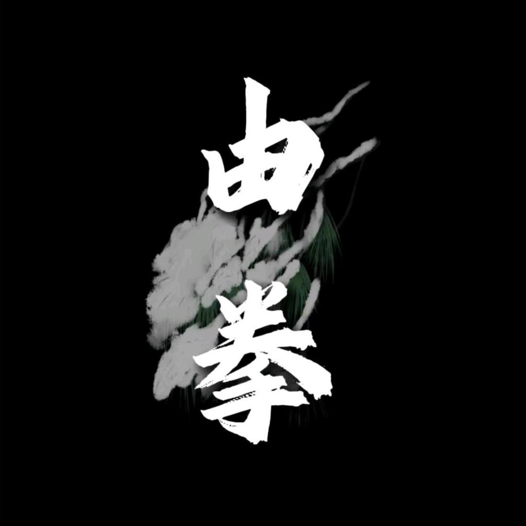 由拳（团队招优）