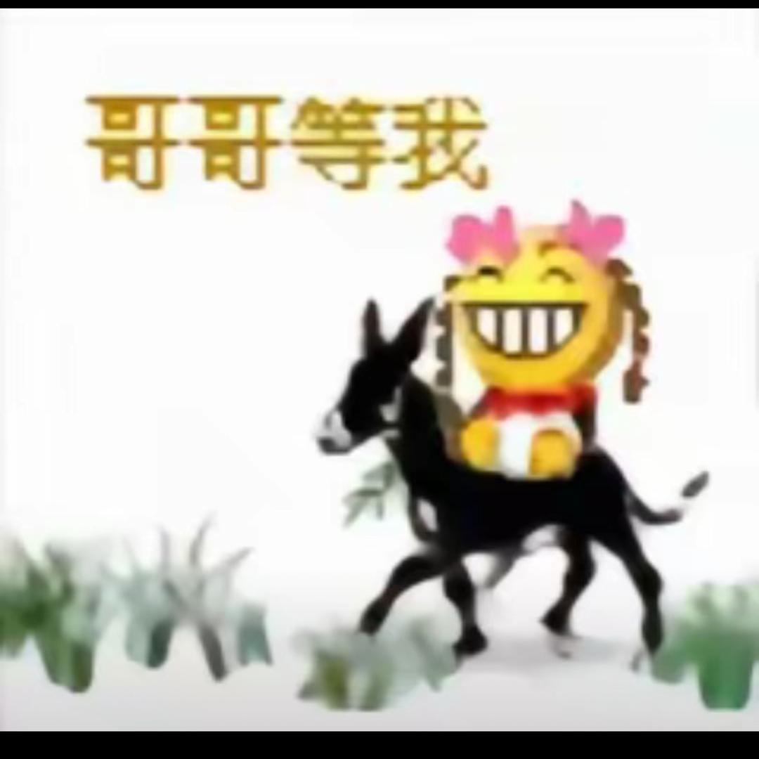 时音(˶‾᷄ ⁻̫ ‾᷅˵)