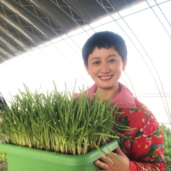 润农家庭小院