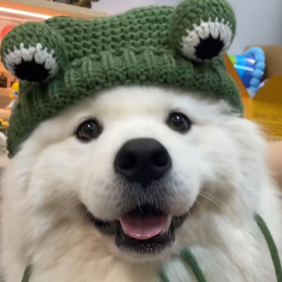 Molly