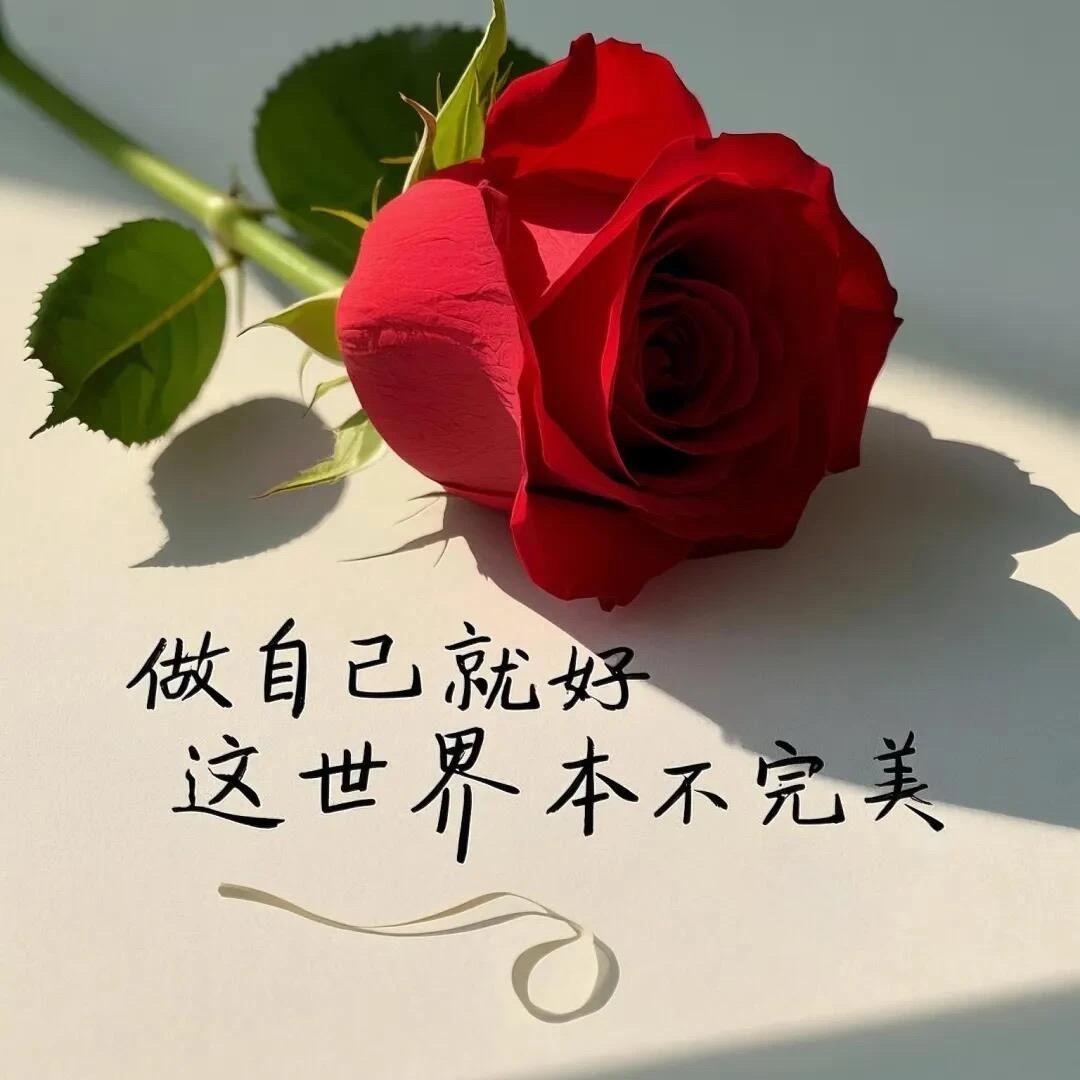 双宝妈咪👩