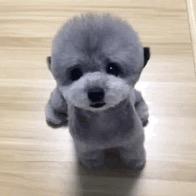 乌漆嘛黑