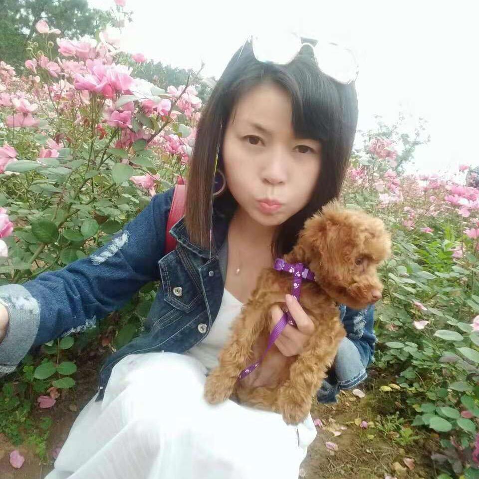 四川-流星雨🌧️