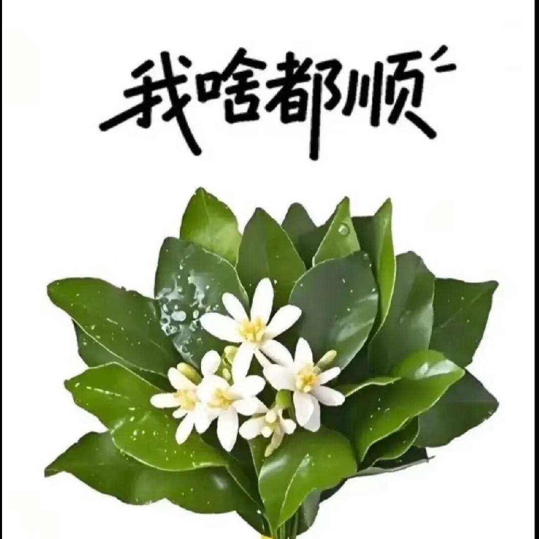 爱吃螺蛳粉加香菜
