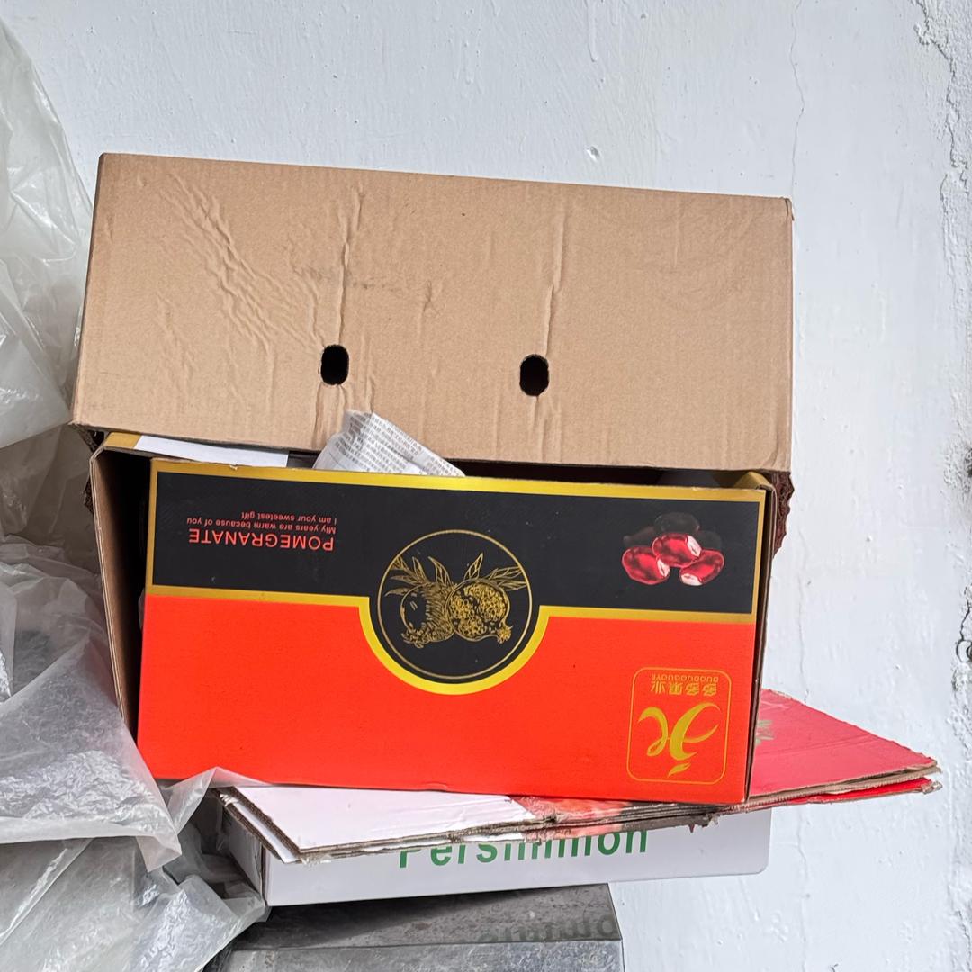 龙羊猪