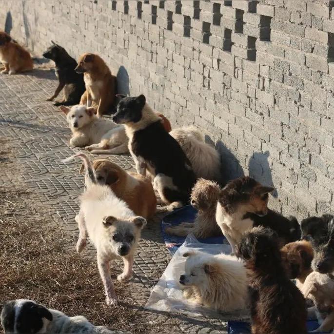 泰满满益善小路