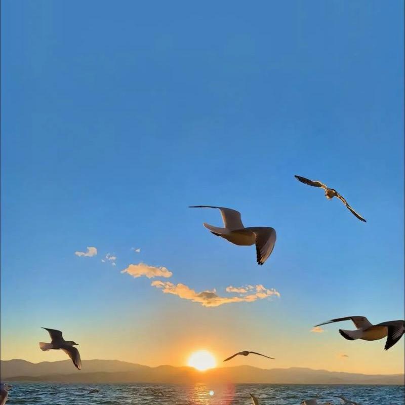_sunshine