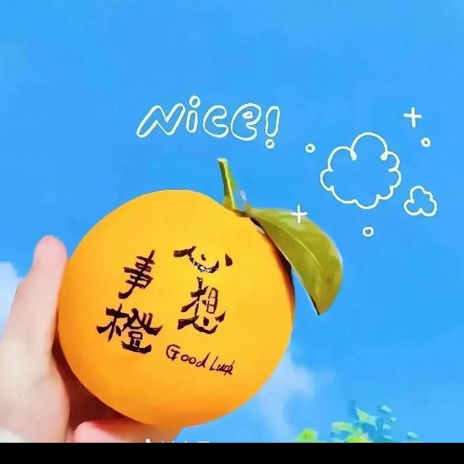 六 六