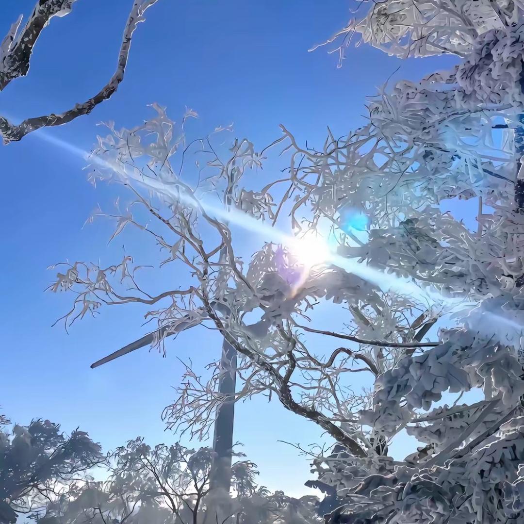 寒风❄️