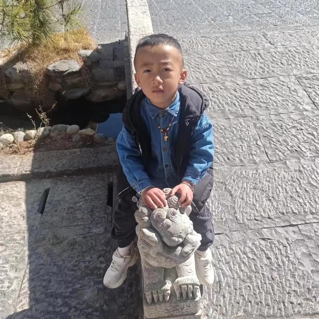 🌸  真爱无价🌸