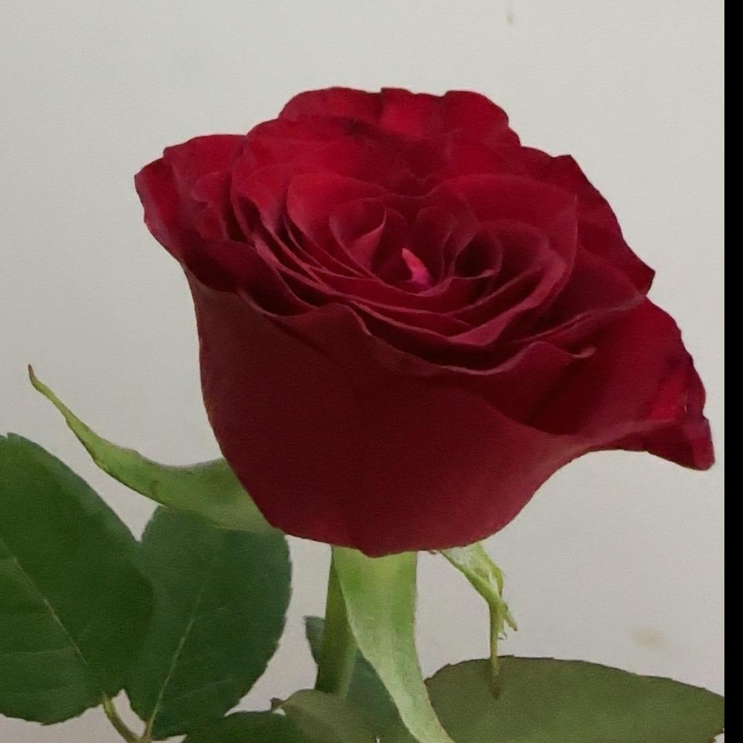 糯米小汤圆