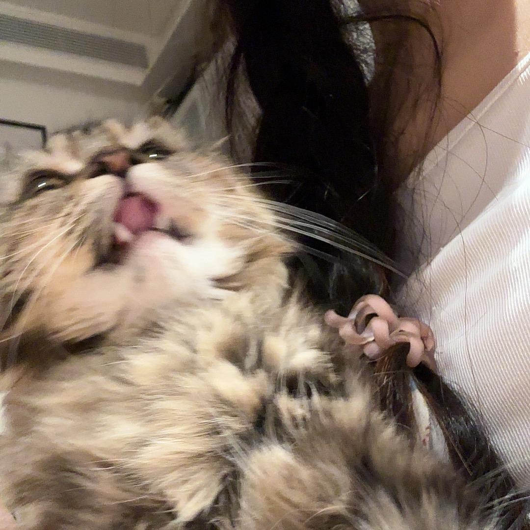 野子