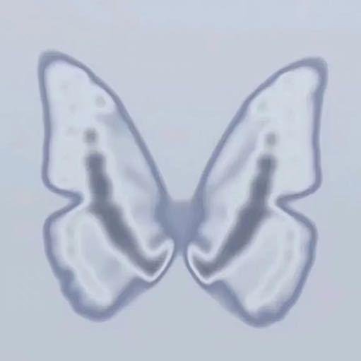 秋秋秋