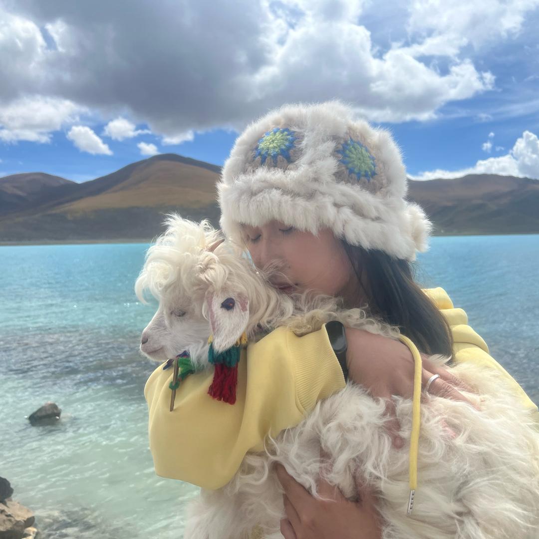 巷里的流浪猫の