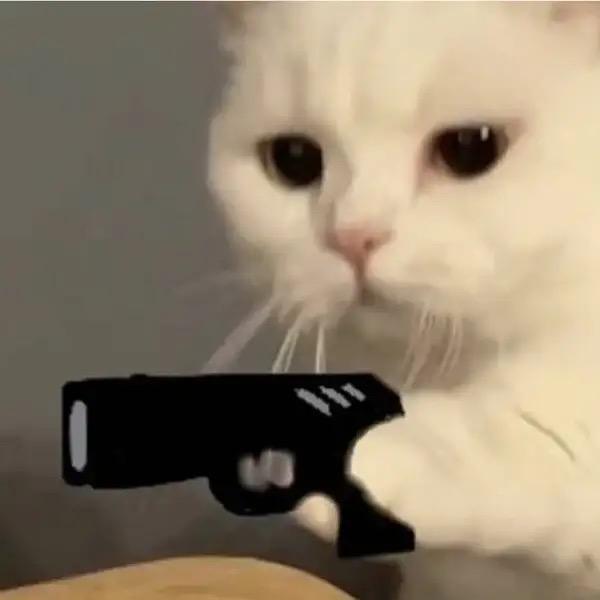 丹儿.