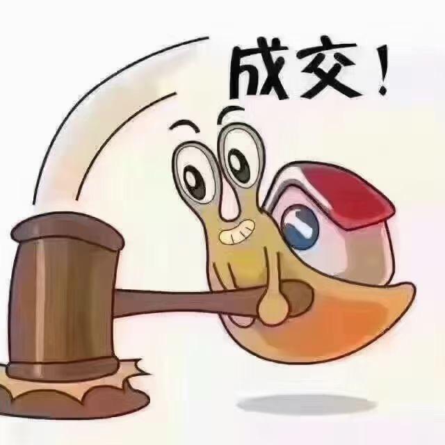 老马
