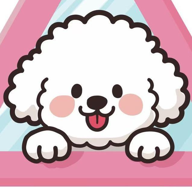 贵阳比熊之家🐶