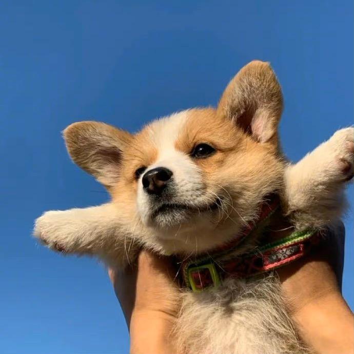 小尹睡不醒