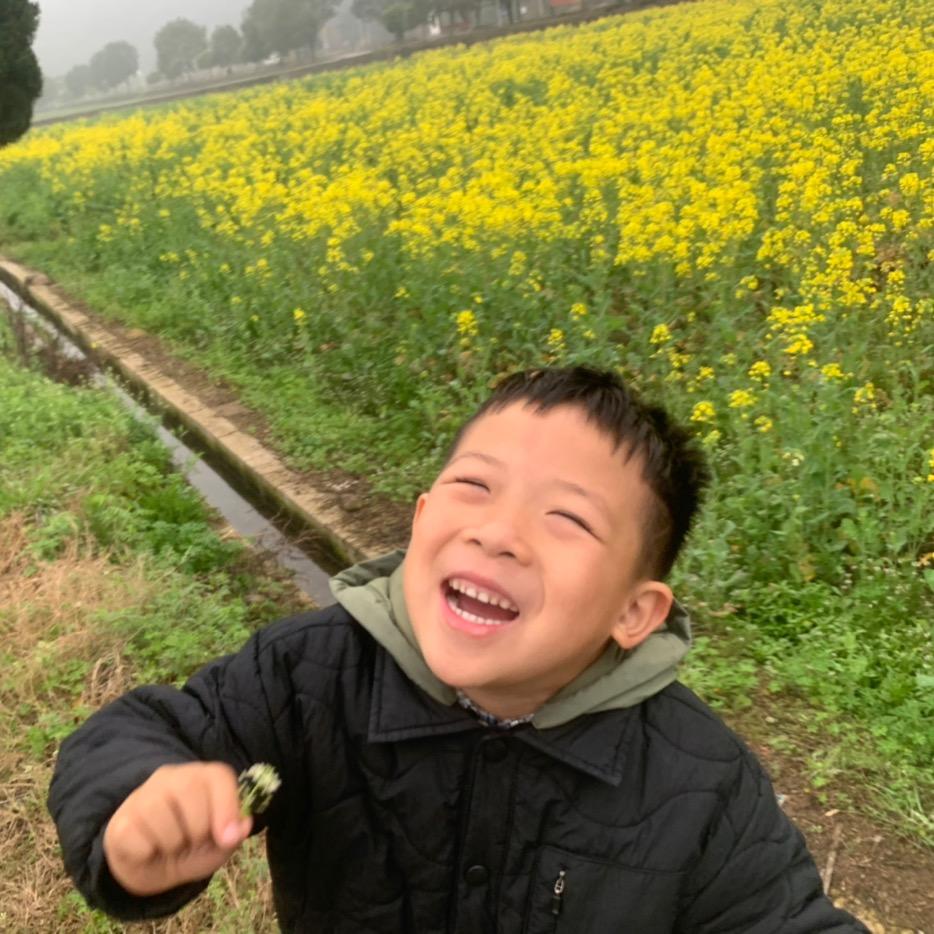 六叶鱼