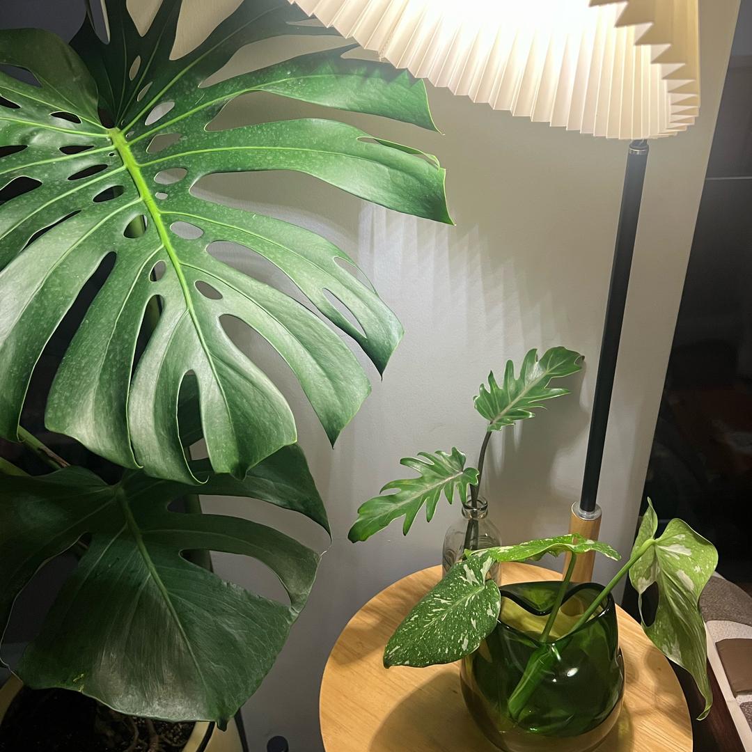 万植空间