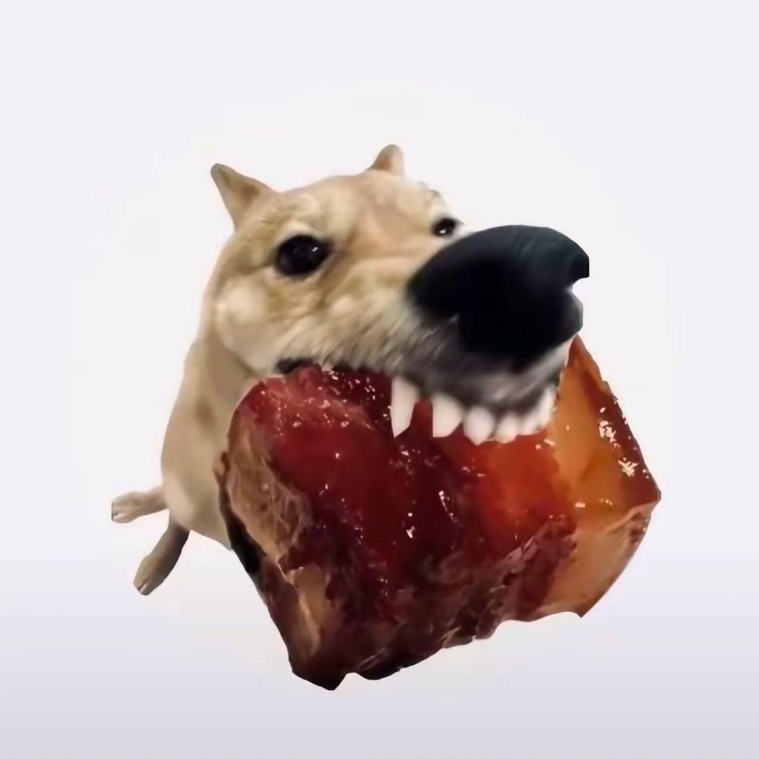 牙刷     ⁥
