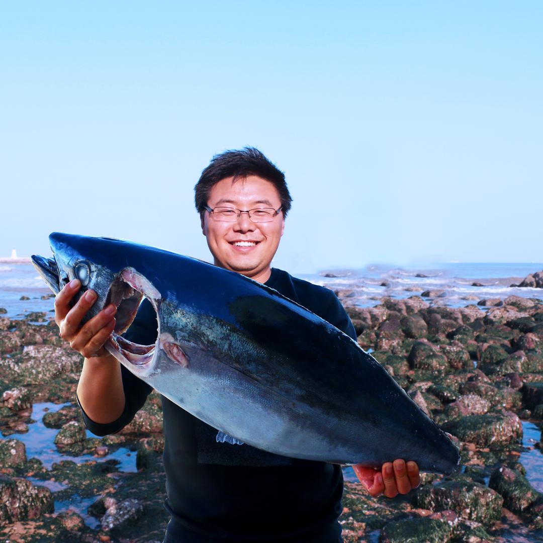 金枪鱼渔人码头