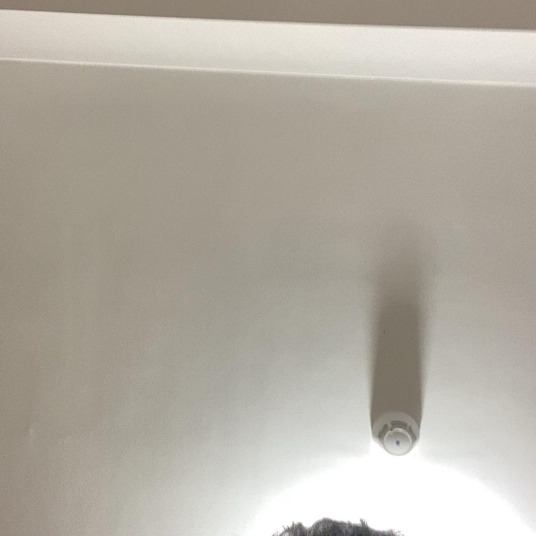 一屁股坐死你