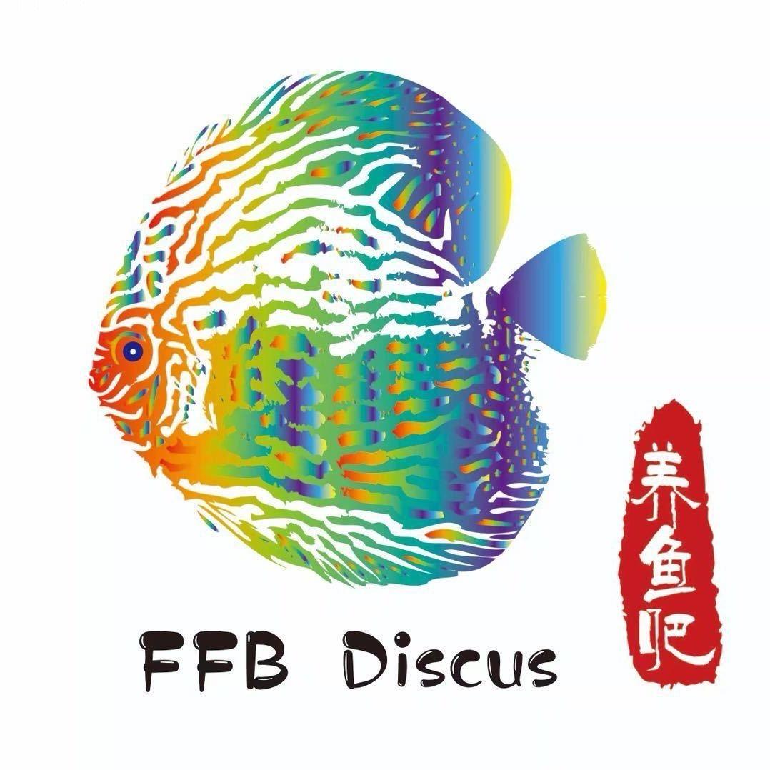 养鱼吧七彩神仙鱼