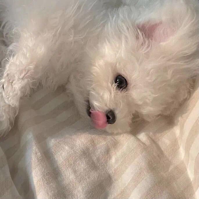 Ssss