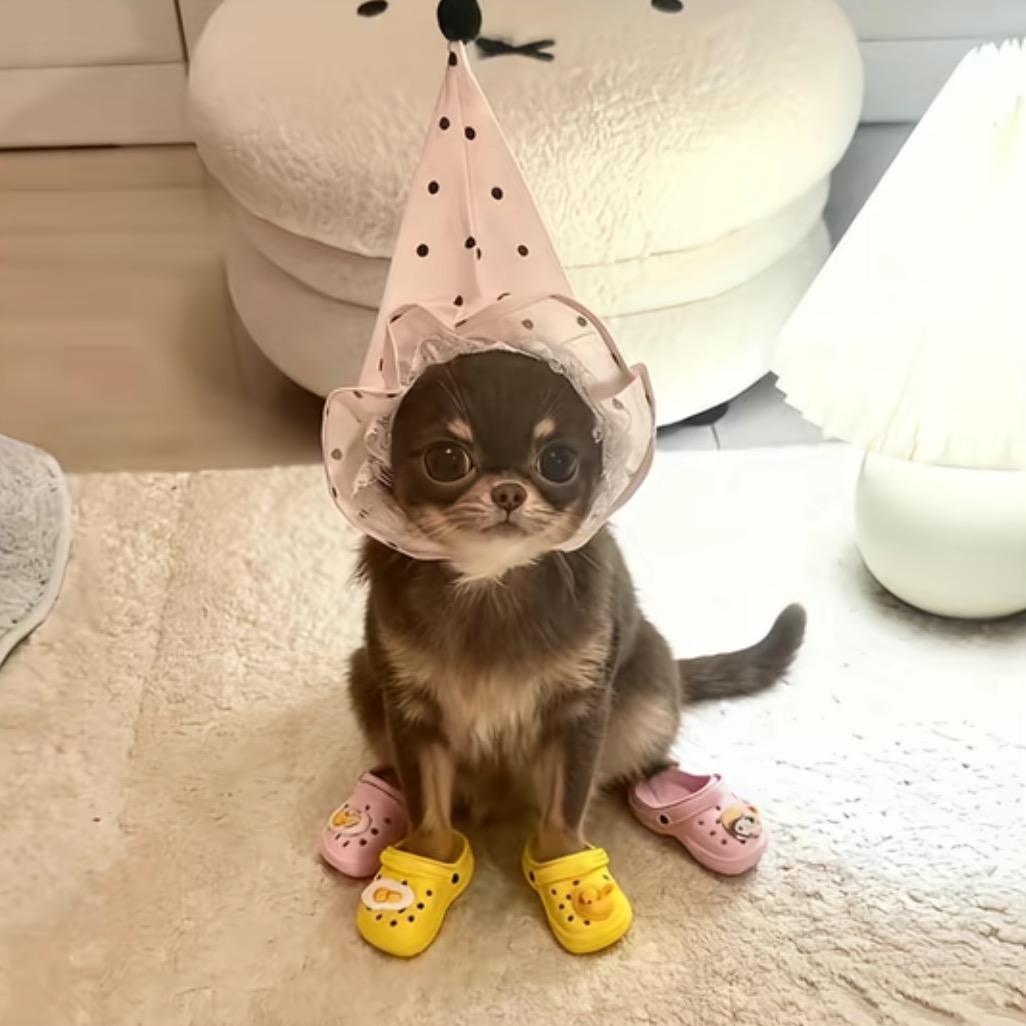 现实和理想就差个梦