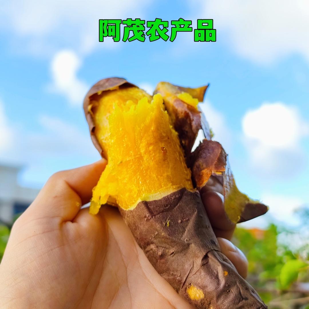 正茂红薯(糖化工艺)