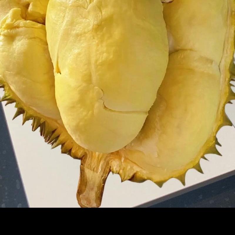 厷厸厹囧囧女装服饰