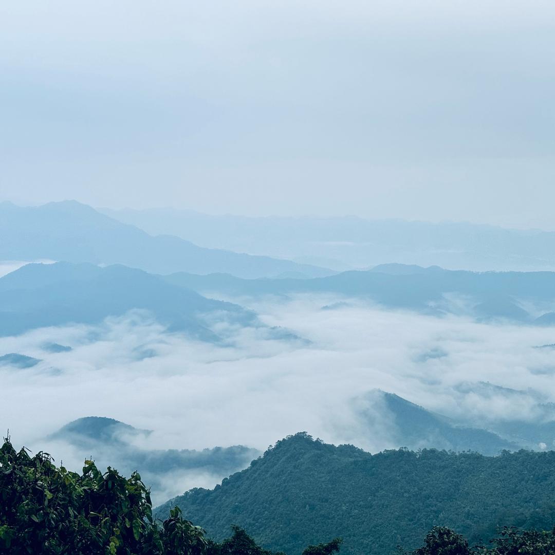 龙