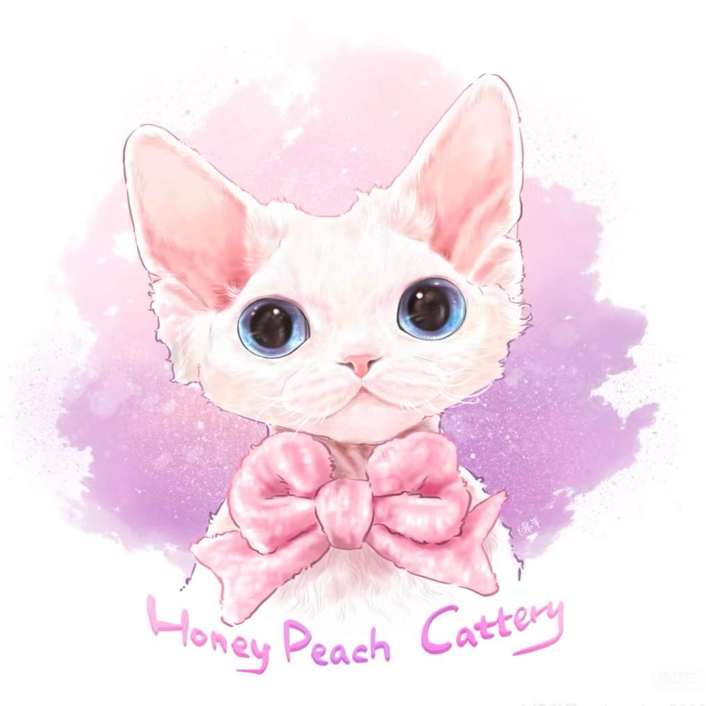 桑尼德文猫舍