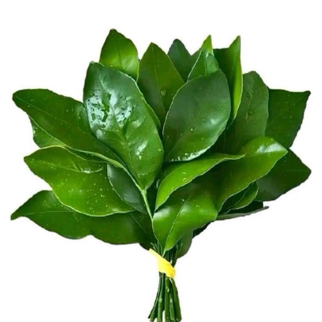 普少禹ᥫᩣᥫᩣ