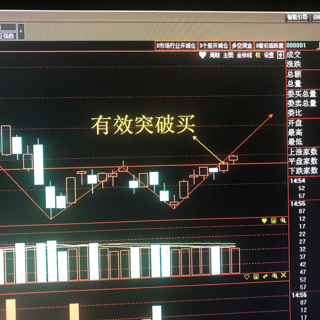 成长记录