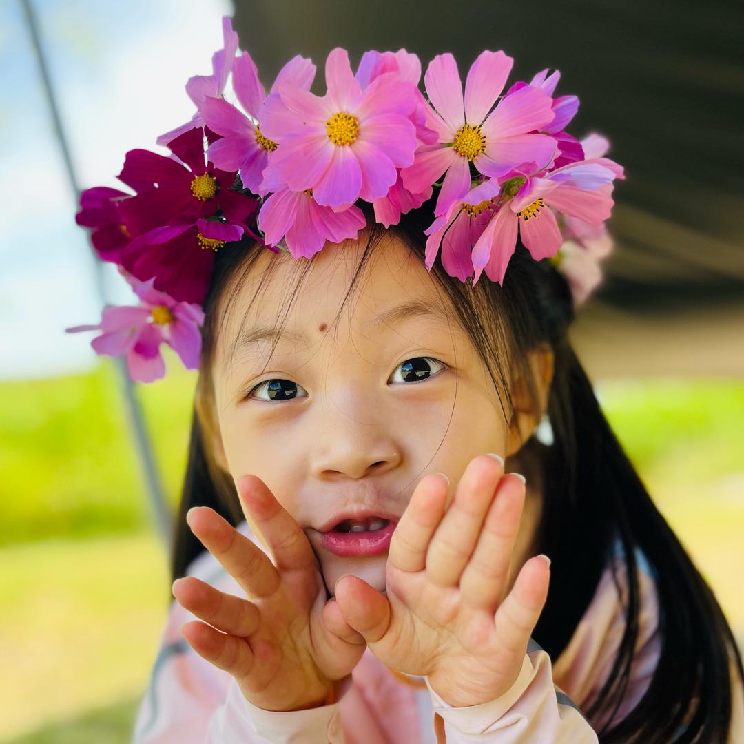 一只棠（英文版）