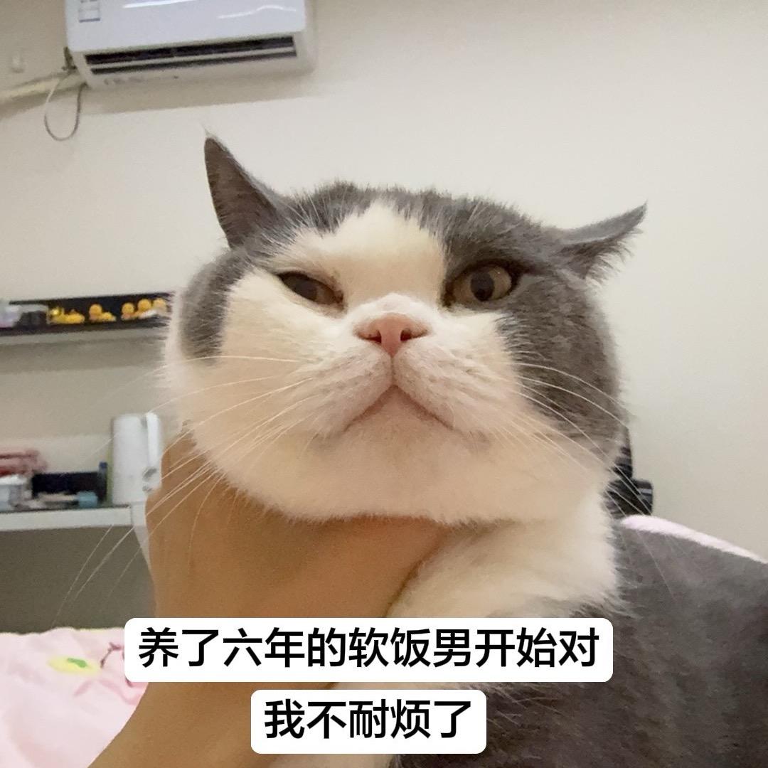 🔆小祖宗