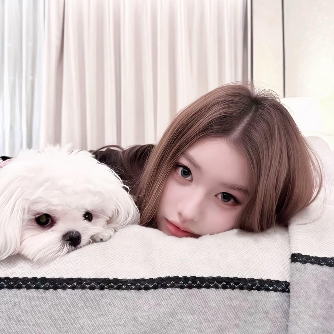 ㅤㅤㅤㅤㅤㅤㅤㅤㅤ ㅤㅤㅤㅤ ㅤㅤ