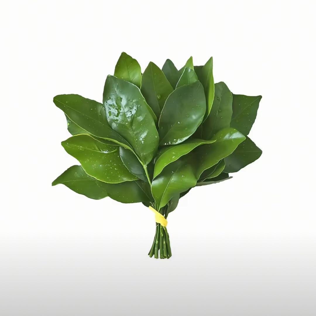幸运小越🍀
