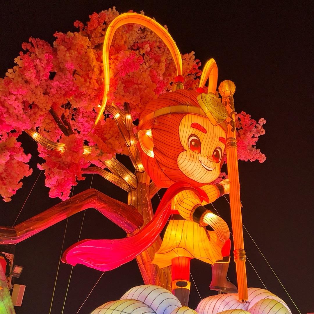 追风逐梦。