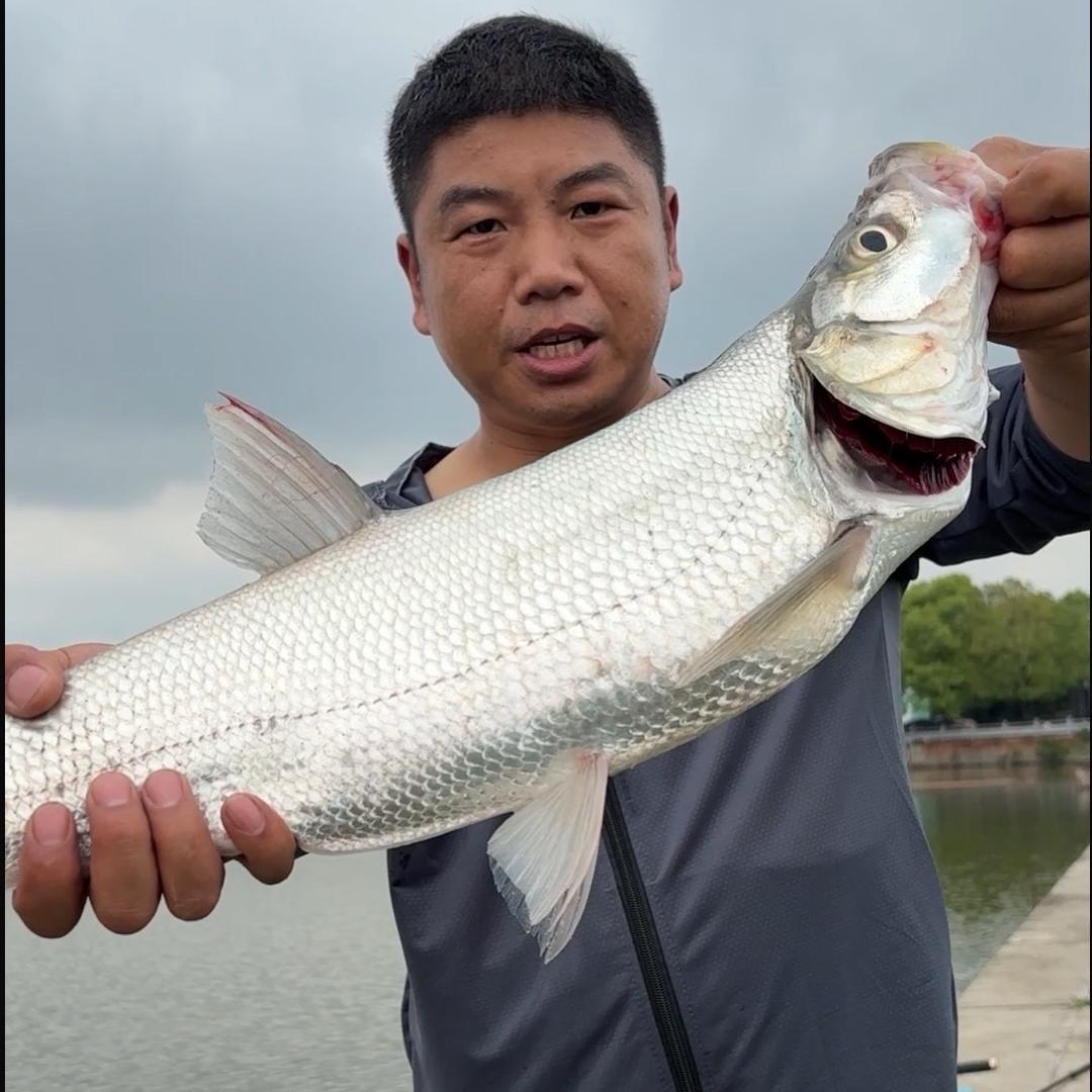 溧阳老王钓研所