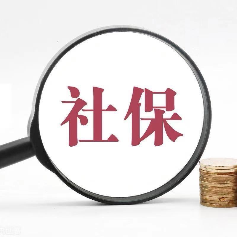 社保规划大维