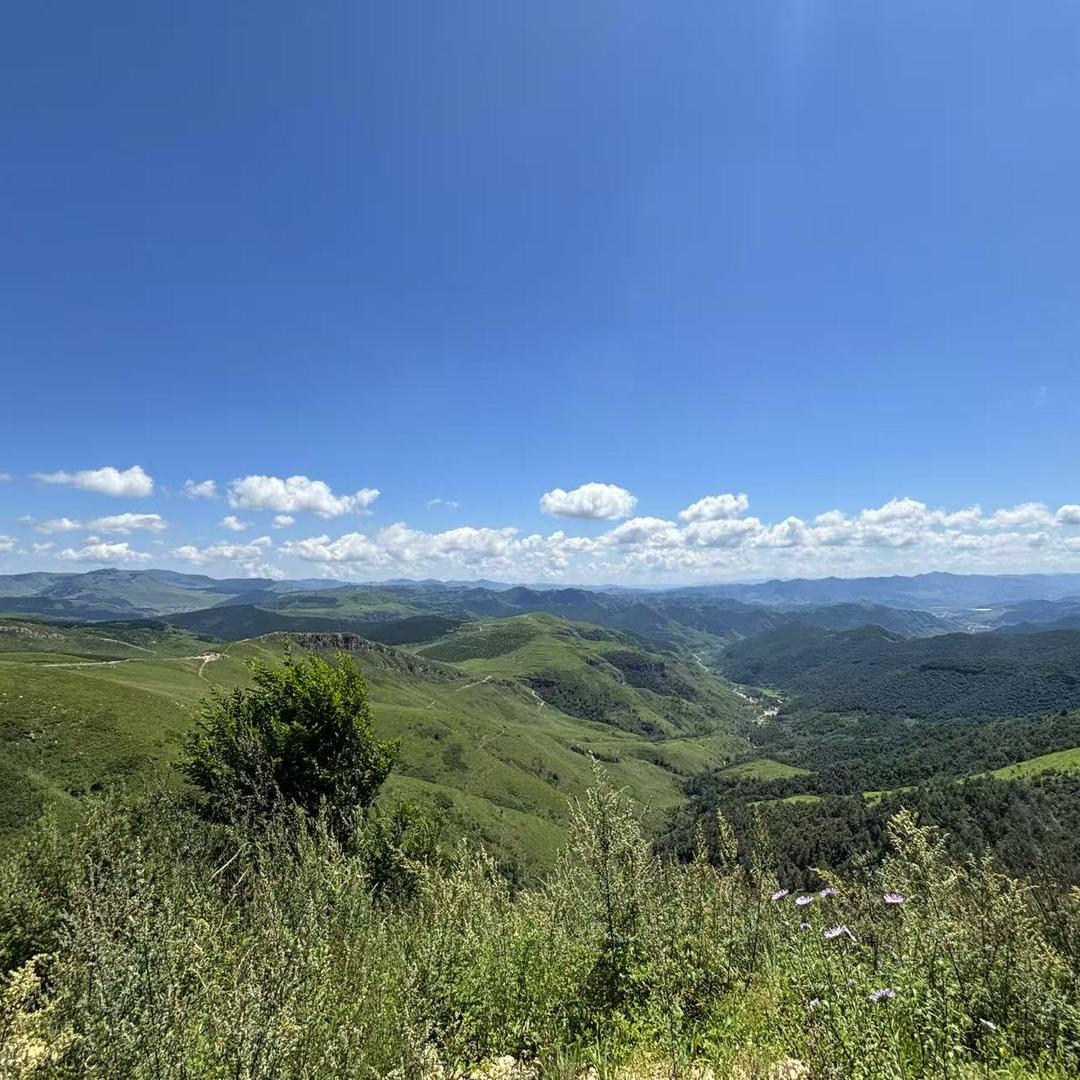 旭邦环保定制专家