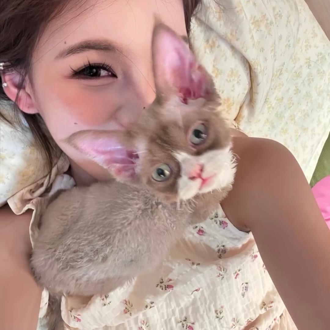 王一涵