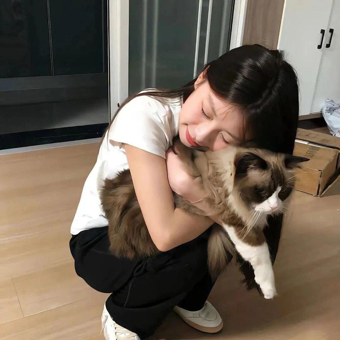 特务兔🐰