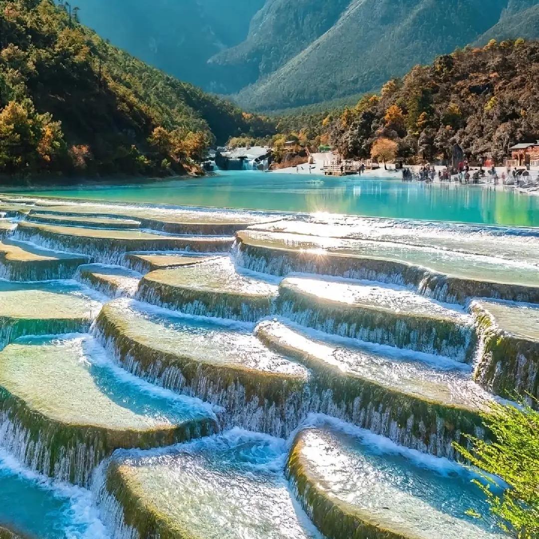 番茄不炒蛋┏ (^ω^)=